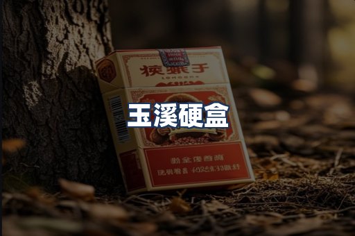 玉溪硬盒
